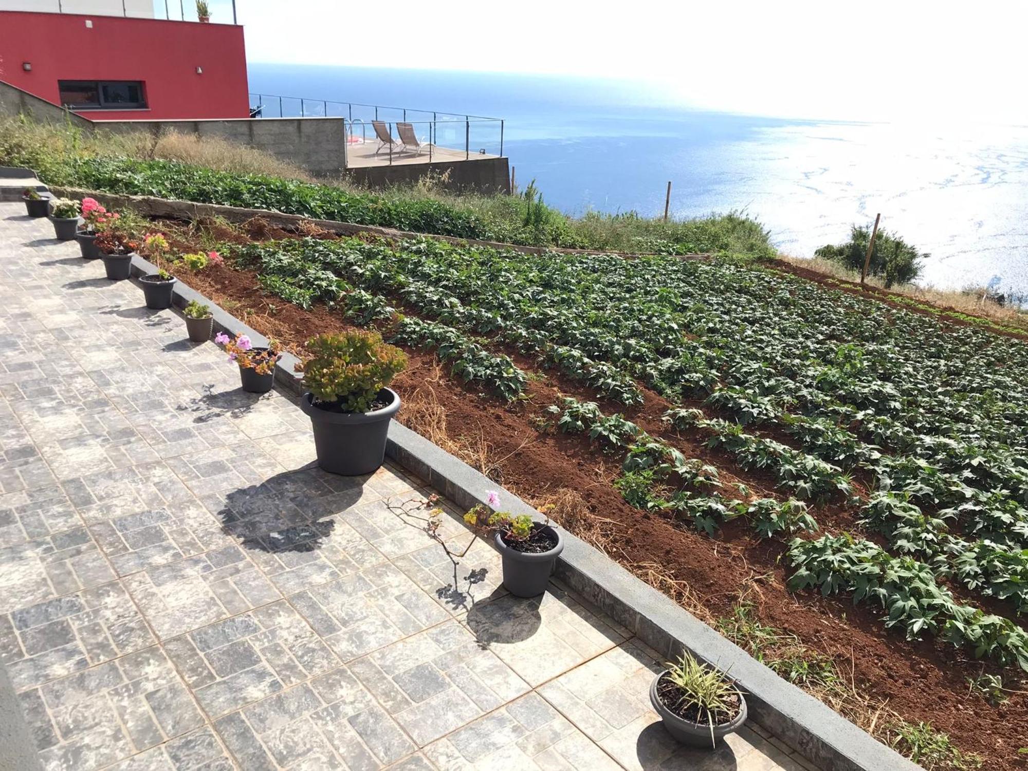 Vila Palheirinho Da Achada Arco da Calheta  Exteriér fotografie